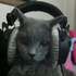 Avatar di orionrodia