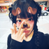 Avatar for zelouqin