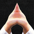 sonnenglut için avatar