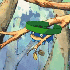 Avatar for CALYPSOVOXO