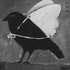 Avatar for Moonbr0