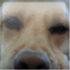 Avatar for abearz