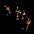 Avatar for rubricrolled