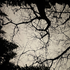 Avatar for crossed_