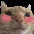 Avatar for realitzredx