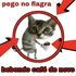 Avatar for foolishDaLua