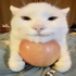 Avatar for realusibobo