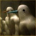 Avatar für hockeyduck