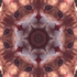 Avatar for jbbolo