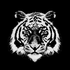 Avatar for TexturedRat