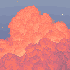 Avatar for lalazuum