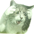 Avatar di juicy_pussy