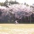Avatar for くどうなみお