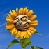 Avatar für Goober_artz