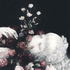 Avatar for Sumiiko_