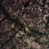 Avatar für y443