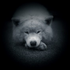 Avatar for Wampirros