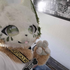 Avatar for Vync_02