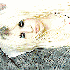Avatar for itsnoteasy