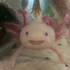 Avatar for nokkusuu7
