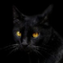 Avatar for Gromalaiz