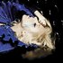 Avatar for Lady Gaga