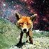 Avatar for TavoPsichiatre