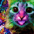 Avatar for WSchravesande