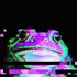 Avatar for Guns For Frogs