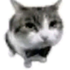 Avatar for erickaou