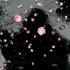 Avatar for Ogui0620