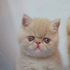 Avatar di bLob_