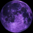 Avatar for QU1NNN_