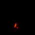 Avatar for yllitis