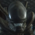 Avatar for i1200