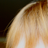 Avatar for Anna_Rosberg