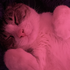 Avatar for CATB00_