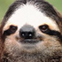 Avatar di angrypom