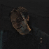 Avatar for girlyincel