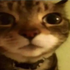 Avatar for leanwlr