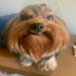 Avatar for Jonysbrodi
