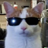 Avatar for panicatkk