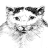Avatar for julesprzewodnik