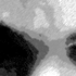 Avatar for Bugarosugo