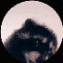 Avatar for rosperi