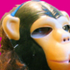 Avatar für moodysson