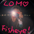Avatar for picacisso