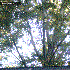 Avatar for Ometotchtli