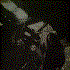 Avatar for Ahrimah