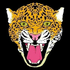Avatar for VINYLreteard